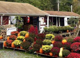 Alstede Farm Stand