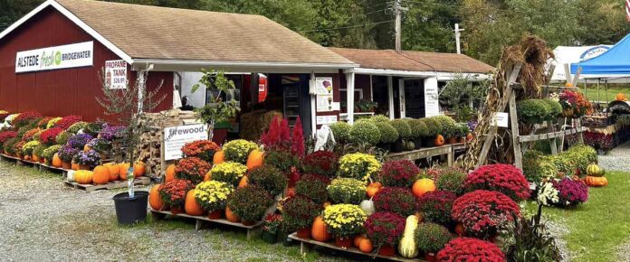 Alstede Farm Stand