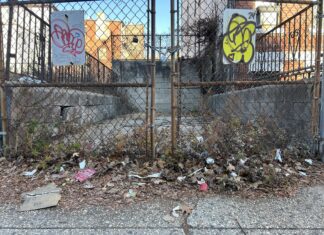Jersey City Trash Litter Problem 2
