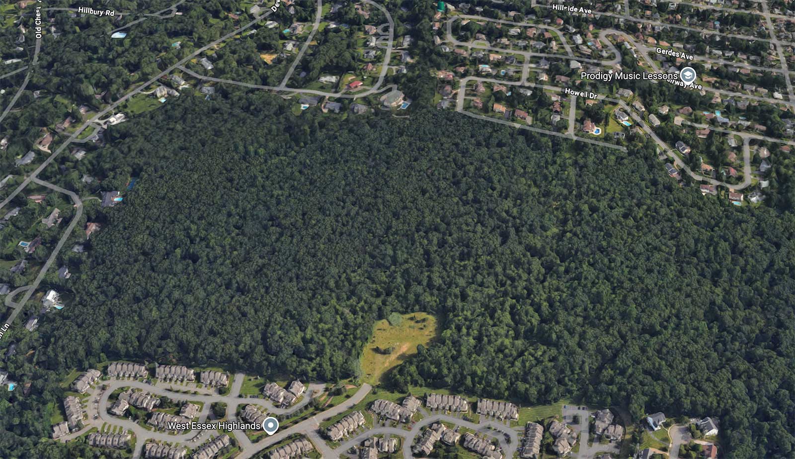 Wilf Property West Orange 2