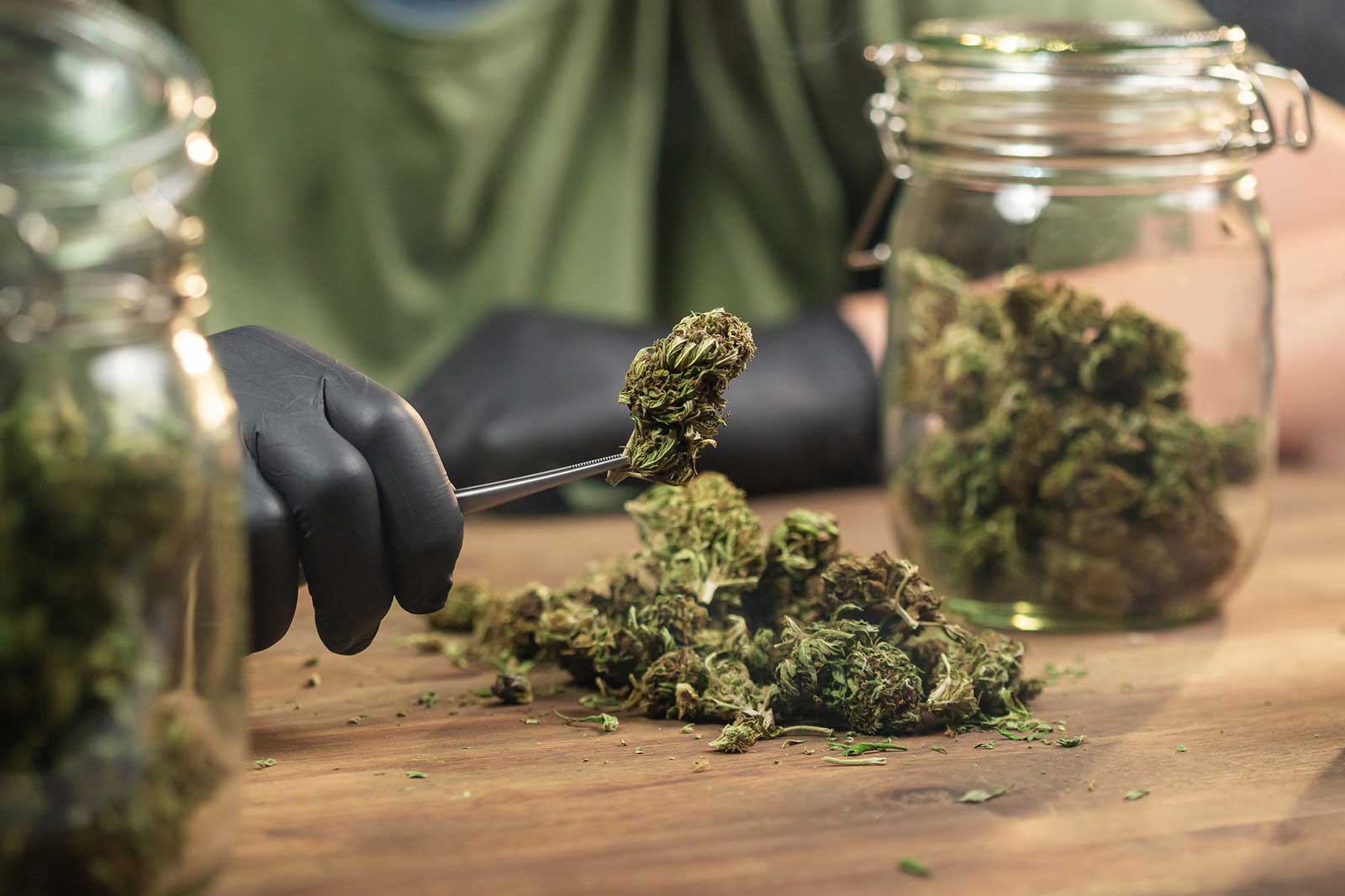Jersey City Dispensaries