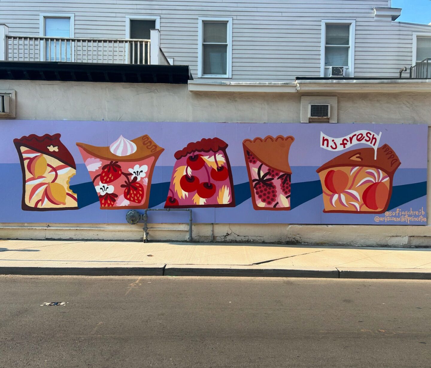 Spring Street Princeton Murals