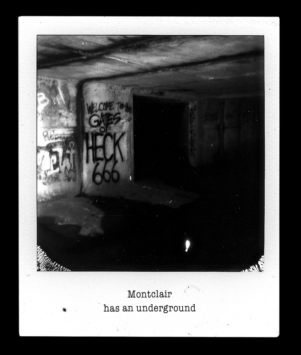 Wheeleroidz Book Nj 2