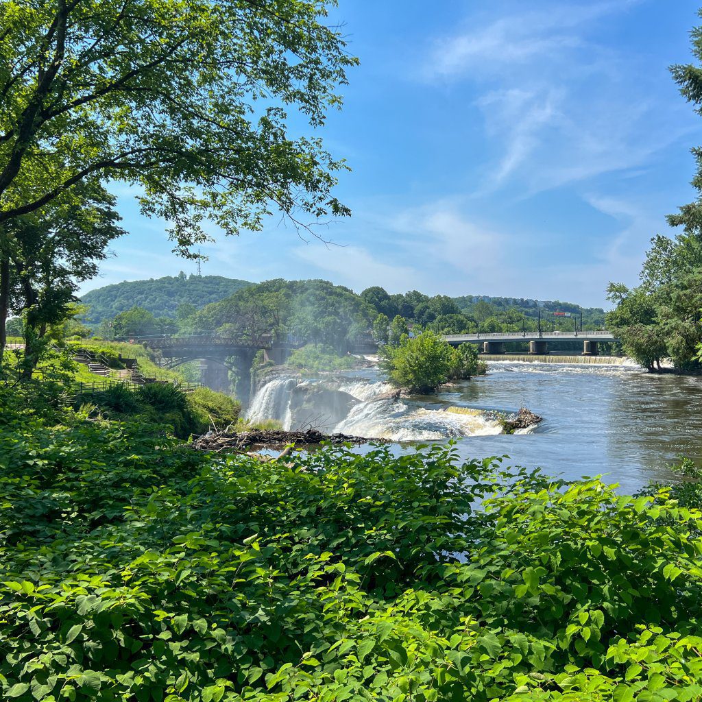 Paterson 1