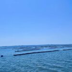 Sapphire Shoals Mariculture
