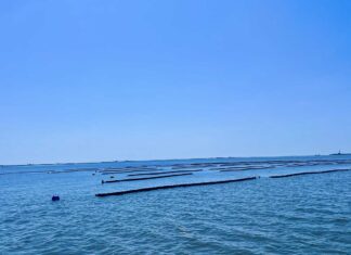 Sapphire Shoals Mariculture